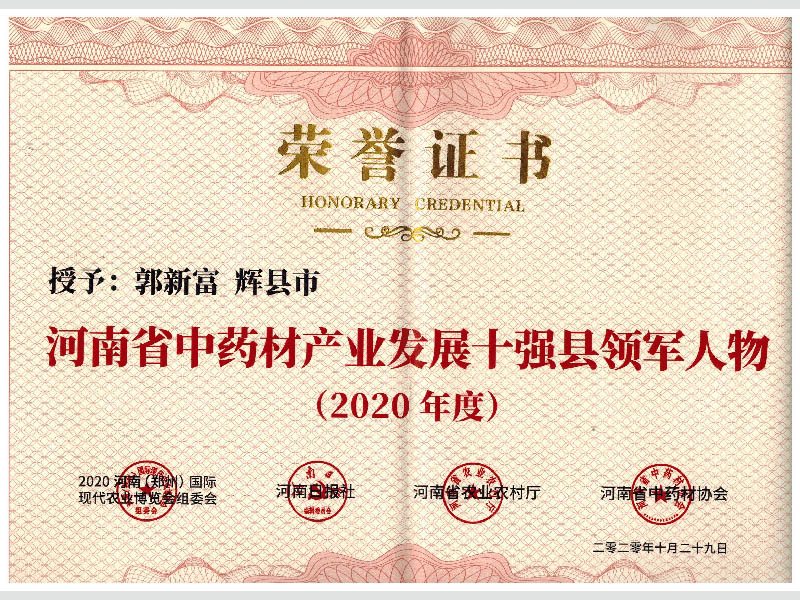 2020中藥材十強(qiáng)縣領(lǐng)軍人物